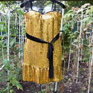 NWT: Dolce & Gabanna Formal Dress